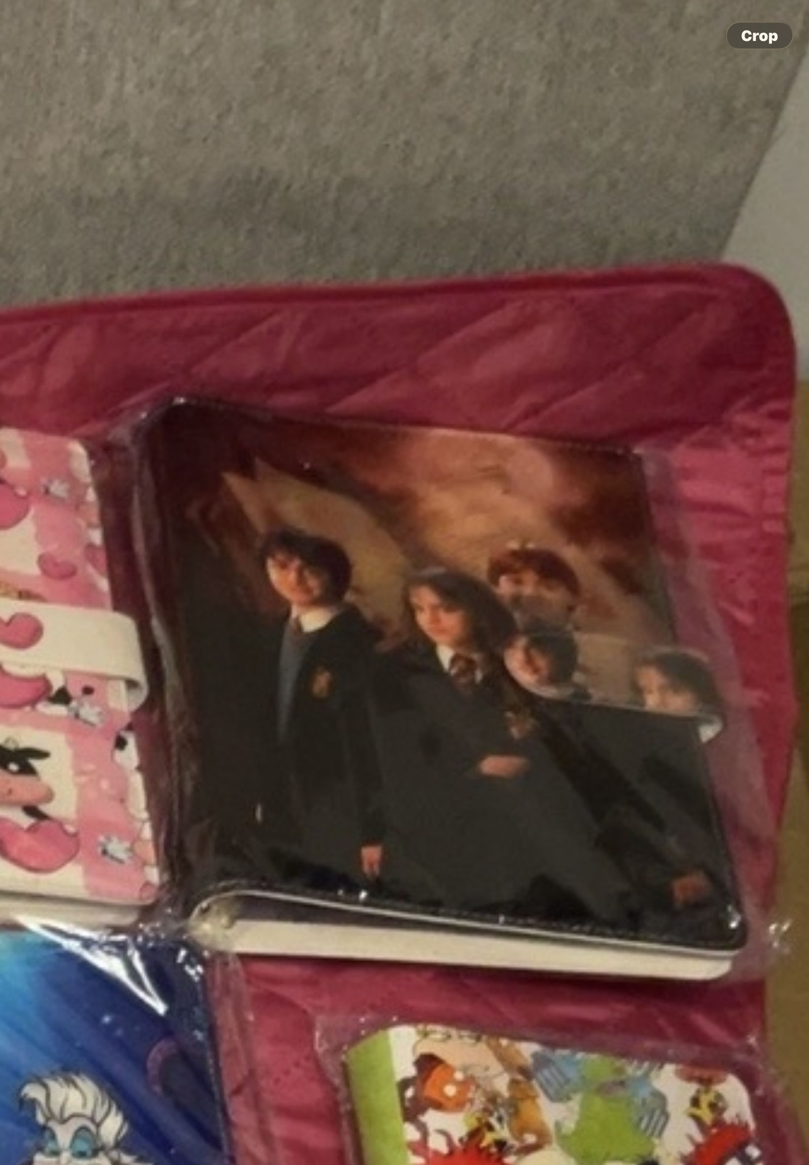 Harry Potter Binder